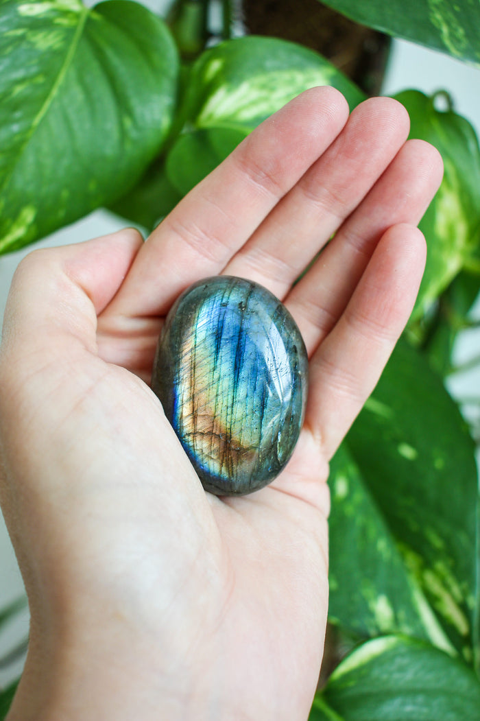 A blue and gold labradorite palm stone sits in the palm of a persons hand. In the background is a green plant. 