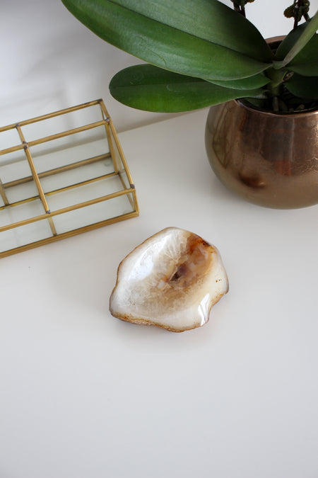 A cream and orange agate bowl sits on a white table in front of an orchid plant