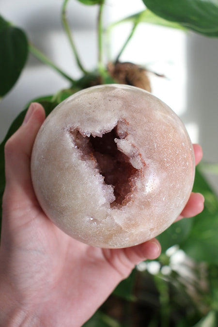 A Pink Amethyst Sphere with druzy caves in front of a green plant 