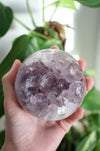 A juicy Uruguayan Amethyst Sphere is held aloft in the afternoon sun in front of a green leafy plant 
