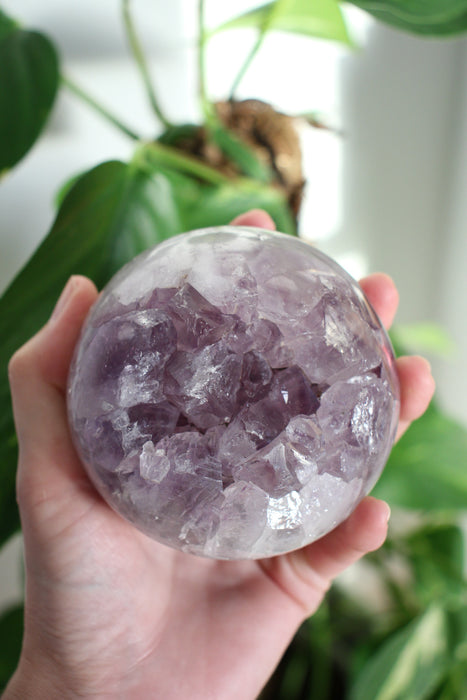 A juicy Uruguayan Amethyst Sphere is held aloft in the afternoon sun in front of a green leafy plant 