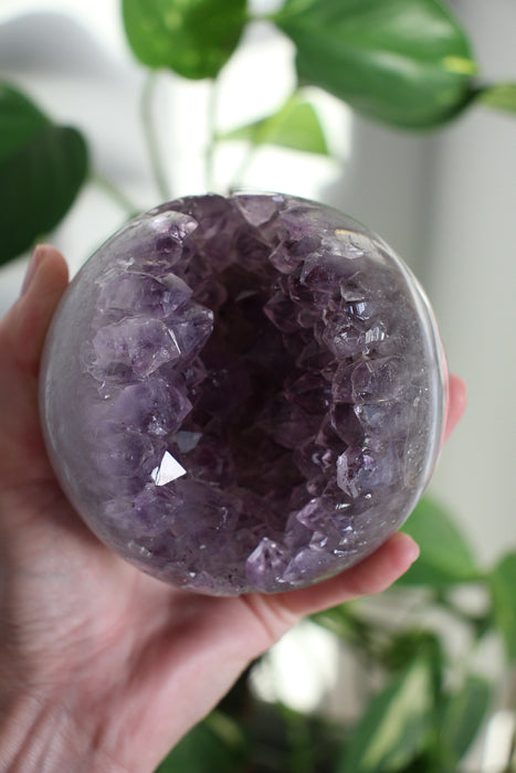 A large juicy purple Amethyst Sphere is held up by a hand in the afternoon sunlight