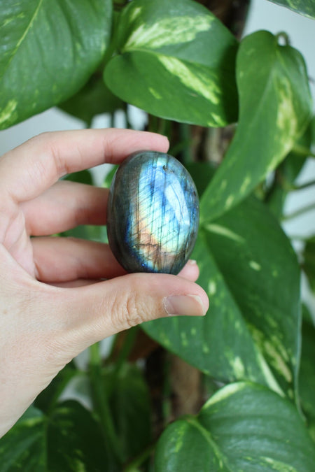 A bright blue and gold labradorite palm stone is held in front of a green tree