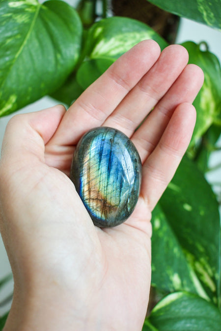 A bright blue and gold Labradorite palmstone is held in front of a green tree 