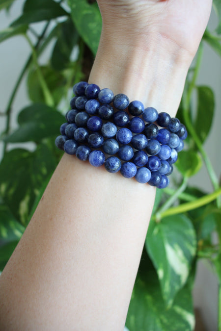 A deep blue stack of Sodalite bracelets in front of a green plant 