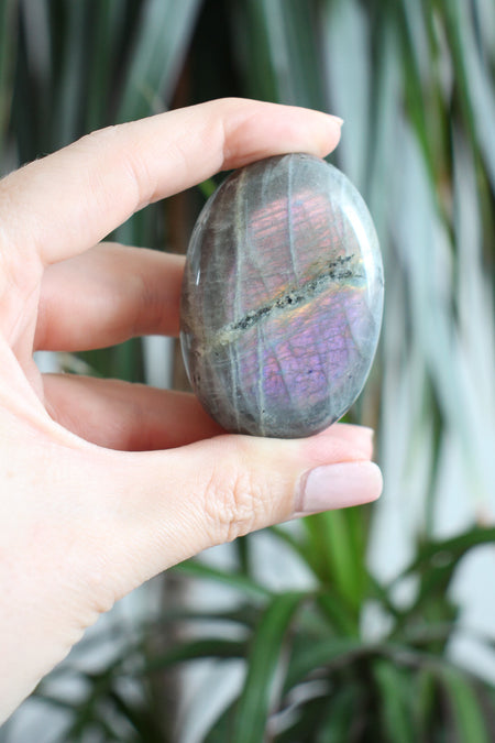 Pink and Purple flash Labradorite Palm Stone in front of a green background. 23 Urban. Dubai crystals.