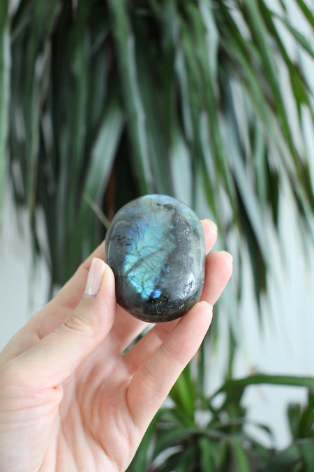 Intense Blue Flash Labradorite Palm Stone Medium Size. 23 Urban. Dubai Crystals.