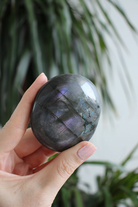 Purple Flash Labradorite Palm Stone. 23 Urban. Dubai Crystals.