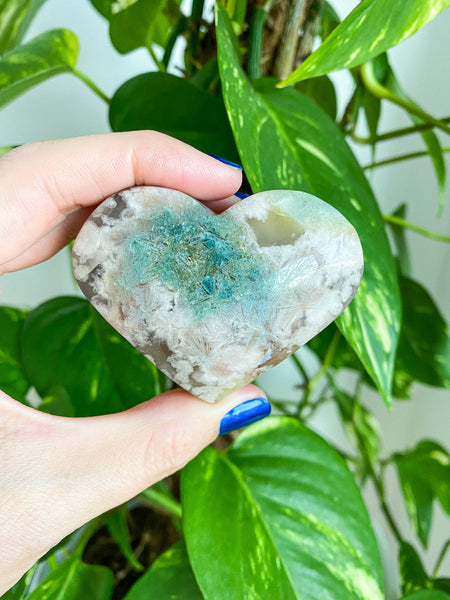 A beautiful Green Flower Agate Heart is held in front of a green plant