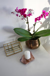 A pink ocean jasper slab sits on a white table