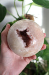 A Pink Amethyst Sphere with druzy caves in front of a green plant 