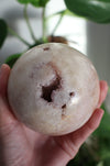 A Pink Amethyst Sphere with druzy caves in front of a green plant