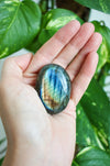 A bright blue and gold Labradorite palmstone is held in front of a green tree 