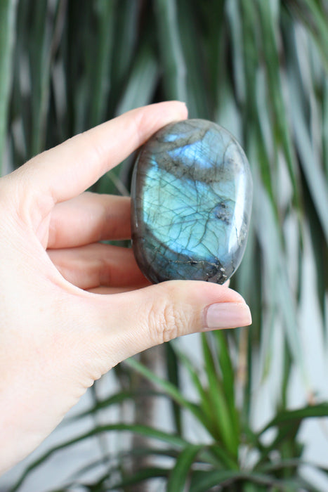 Intense Blue Flash Labradorite Palm Stone Medium Size. 23 Urban. Dubai Crystals.