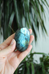 Blue and Yellow Flash Labradorite Palm Stone. 23 Urban. Dubai crystals.