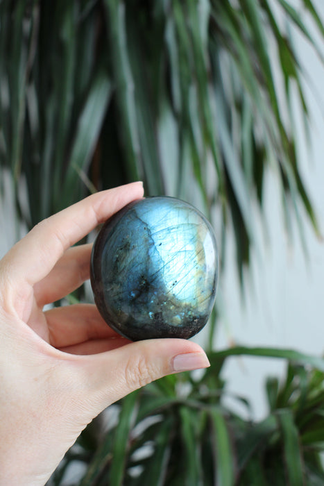 Large Blue Flash Labradorite Palm Stone. 23 Urban. Dubai Crystals.