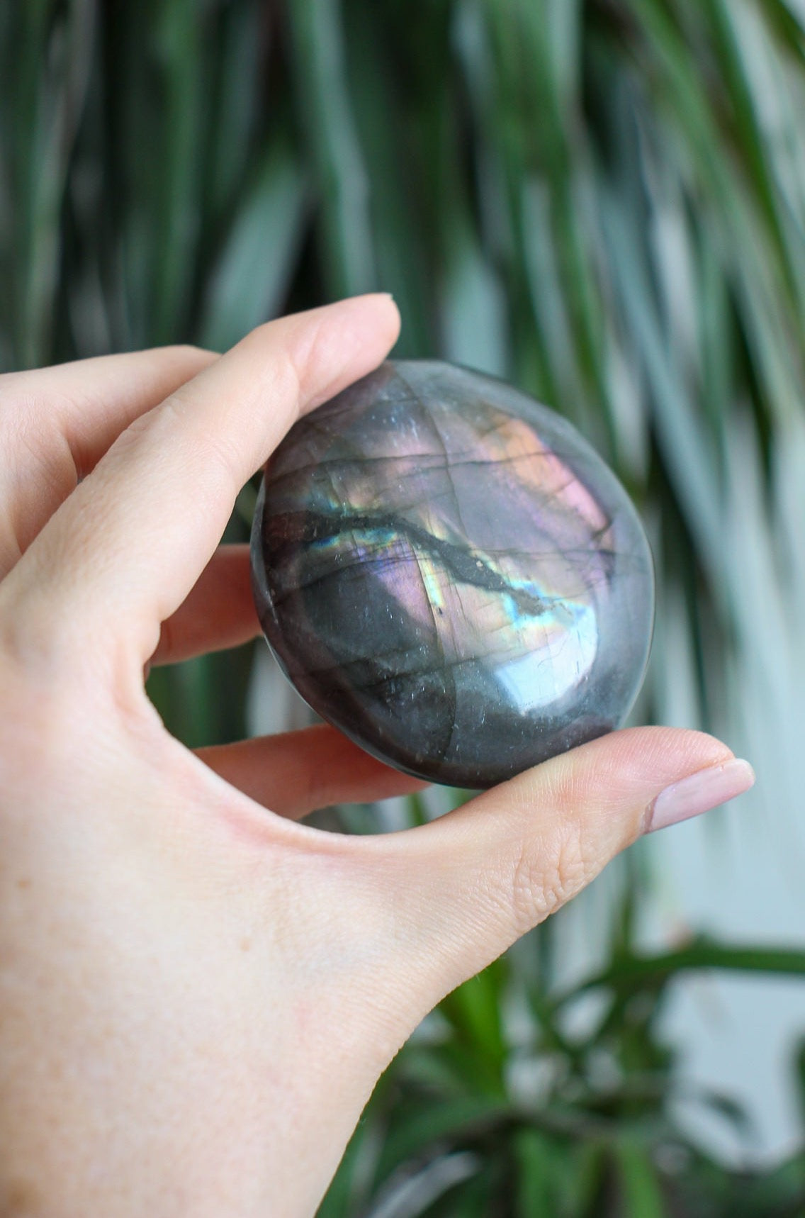 Rainbow online Flash Labradorite Palm Stone