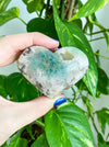 A beautiful Green Flower Agate Heart is held in front of a green plant