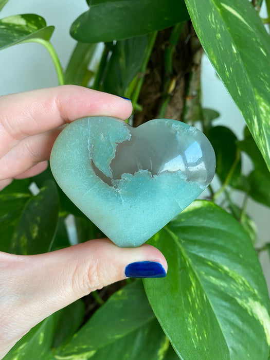 A beautiful Green Flower Agate Heart is held in front of a green plant